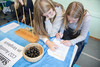 Zwei Mädchen lösen Aufgaben